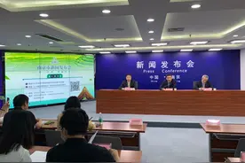 优中选优！2020南京雨花茶金奖名单出炉图片