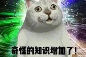 苹果商店最贵软件价值6千元、麦当劳居然有大学……细数25个品牌冷知识图片