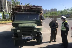 29秒｜威海：“四不像”拼装货车开上路 满车木材只用一根绳子捆绑图片