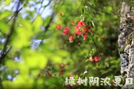 因为热爱图片
