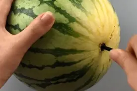 吃了30年西瓜才知道，在西瓜上插一根筷子竟然这么有用图片