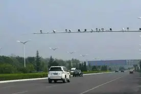 注意！G80广昆高速玉林段启用6个电警抓拍测速点，抓拍这些行为图片