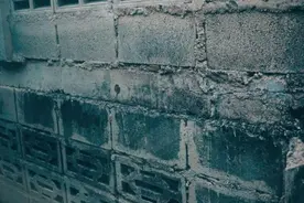 这，就是借钱的下场图片