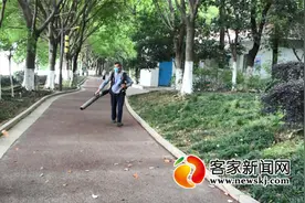 「问政调查」用鼓风机吹游步道落叶“人工扬尘”漫天飞舞引质疑图片