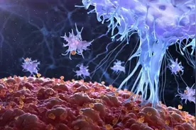 英媒：新冠病毒夺命杀手锏揭秘 人体免疫细胞攻击自身健康细胞和器官图片