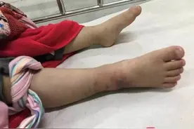 揪心！毒蛇溜进家中，3岁男童与其玩耍！结果太惊险了图片