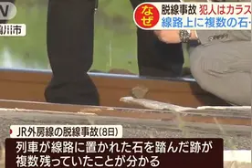在铁轨放石块引发列车脱轨 日本小学生承认犯案：在做实验图片
