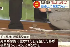 在铁轨放石块引发列车脱轨 日本小学生承认犯案：在做实验图片
