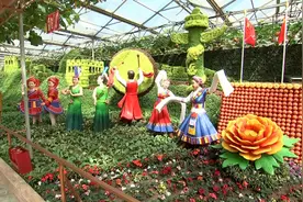 39秒｜三种方式预约、持健康码入园 寿光菜博会将开放现场参观图片