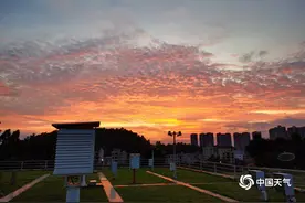 广东天气晴朗 黄昏时分惊现“醉美晚霞”图片