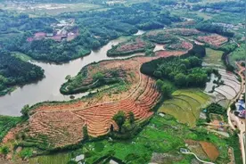 江西宜春：秀美乡村入画来图片
