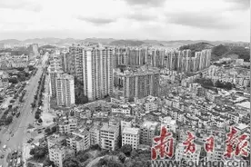 凤岗 城市品质提升与乡村振兴“同频共振”图片