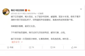 小区楼下大树突然被砍，宁波网红老师发文“声讨”，背后故事延续千年图片