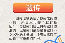 为什么我吃的少还变胖？图片