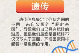 为什么我吃的少还变胖？图片