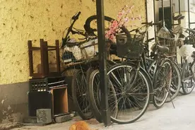 流浪猫到底该不该喂？静安这个居民区为喵星人操碎了心图片