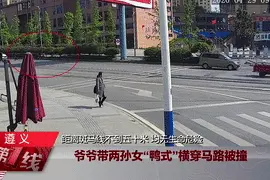 距斑马线不到50米！爷爷仍带俩孙女横穿马路！交警狠批：拿生命开玩笑图片