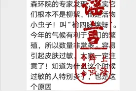 5月飞絮含蚜虫致呼吸道感染？专家：对人体无害图片