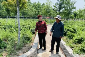 “山东好人”谢明珠，发展牡丹产业让村民脱贫致富尝甜头图片