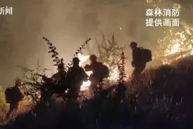 一年多没见，朋友圈得知弟弟回家乡支援，她赶赴火场团聚图片