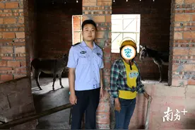 “离家出走”的3头毛驴图片