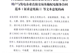 浙江｜电力用户与发电企业直接交易及输配电服务合同范本图片