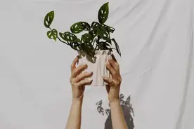 人这一生，能靠谁？图片