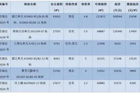 又上新了！望江新城挂牌1宗未来社区商住地块 接下来还有1宗涉宅地图片