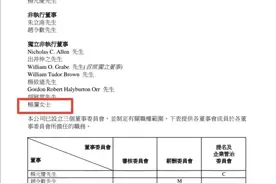 杨澜出任联想集团独立董事 任期三年 年薪235万元图片