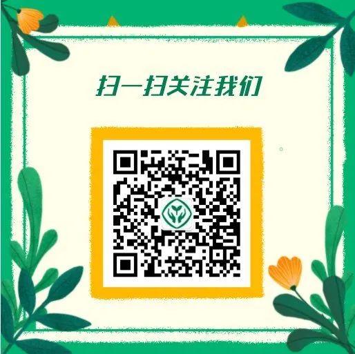 正式出台的笔顺标准写法，超全面！快来看看你都写对了吗？