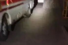 小狗被困铁笼，主人报警求助！心急的小狗妈妈现场给消防员带路图片