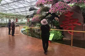 潍坊寿光市第21届菜博会展馆 将于今日开放预约参观图片