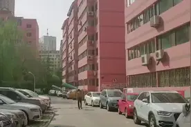 兰州快递柜超过半个小时收费5毛，速递易：正在降价