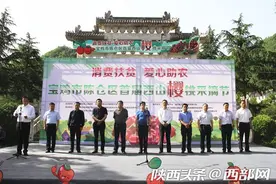 宝鸡市陈仓区首届西山樱桃采摘节开幕 领导代言直播带货助力脱贫攻坚图片