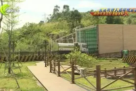 广东沙溪垃圾焚烧发电厂已处理垃圾78万吨 发电量3亿度图片