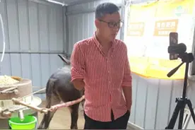 有30多万粉丝的独臂小伙直播石磨豆腐，每日供不应求图片