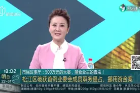 市民议事厅：500万元的大案，啃食业主的蠹虫！  松江区破获首例业委会成员职务侵占、挪用资金案视频封面