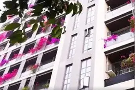 成都一小区现30层楼高花墙 姹紫嫣红分外美丽图片
