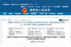 湖南竹鼠每公斤补75元！全国首个省级野生动物养殖退出方案公布图片