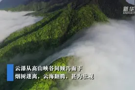 人间仙境！神农架大九湖景区出现罕见云瀑景观视频封面