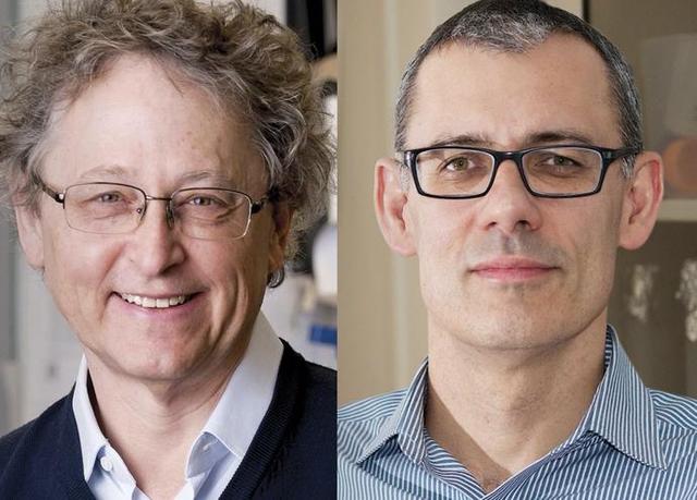 顶尖艾滋团队新冠重磅研究：某稀有抗体反复出现提示疫苗线索