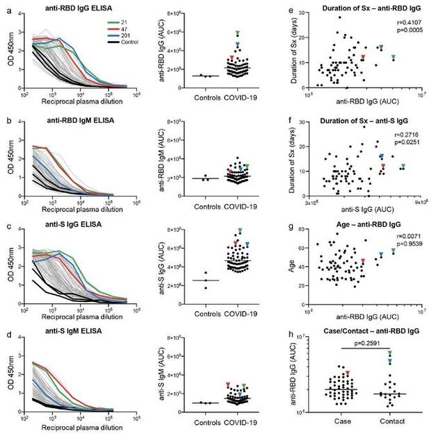 顶尖艾滋团队新冠重磅研究：某稀有抗体反复出现提示疫苗线索