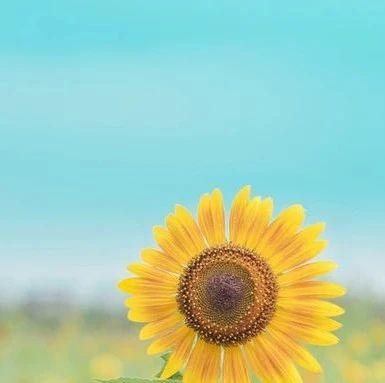 输“代血浆”丧命！滥用“代血浆”和氨基酸注射液危害有目共睹，基层医生千万别乱用