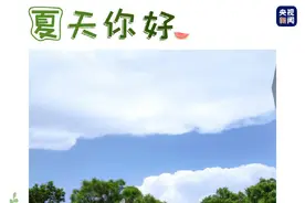 来晒！你拍的最具夏天感的照片图片