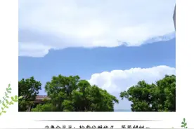 来晒！你拍的最具夏天感的照片图片
