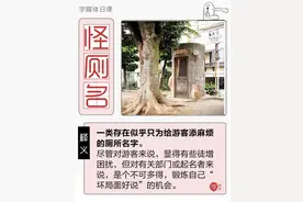 旅游内急遇到这些迷惑厕所，我还是尿裤子好了图片