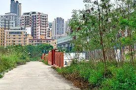接手19年仍为荒地，黄金台项目缩水，中洲控股“独占”意愿落空图片