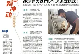 长沙违规养犬处罚少？递进式执法图片