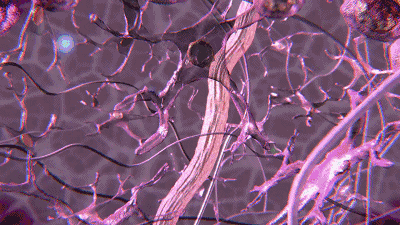 天天喝胶原蛋白对身体有害吗 2026年天天喝胶原蛋白的好处