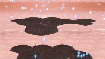 长期吃胶原蛋白有什么副作用 2026年长期吃胶原蛋白有什么副作用和危害